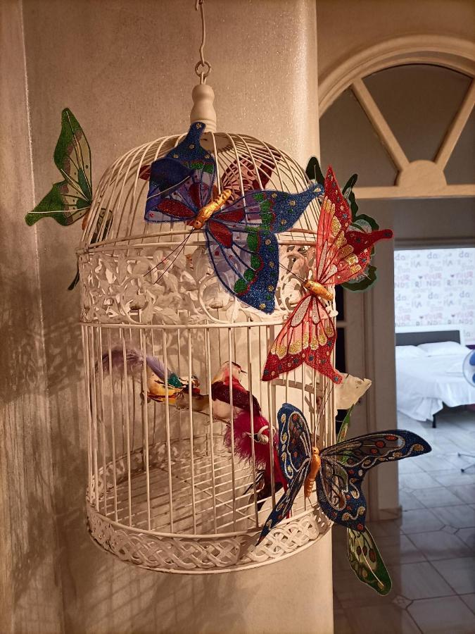 Bed and Breakfast Butterfly House Castellammare di Stabia Zewnętrze zdjęcie