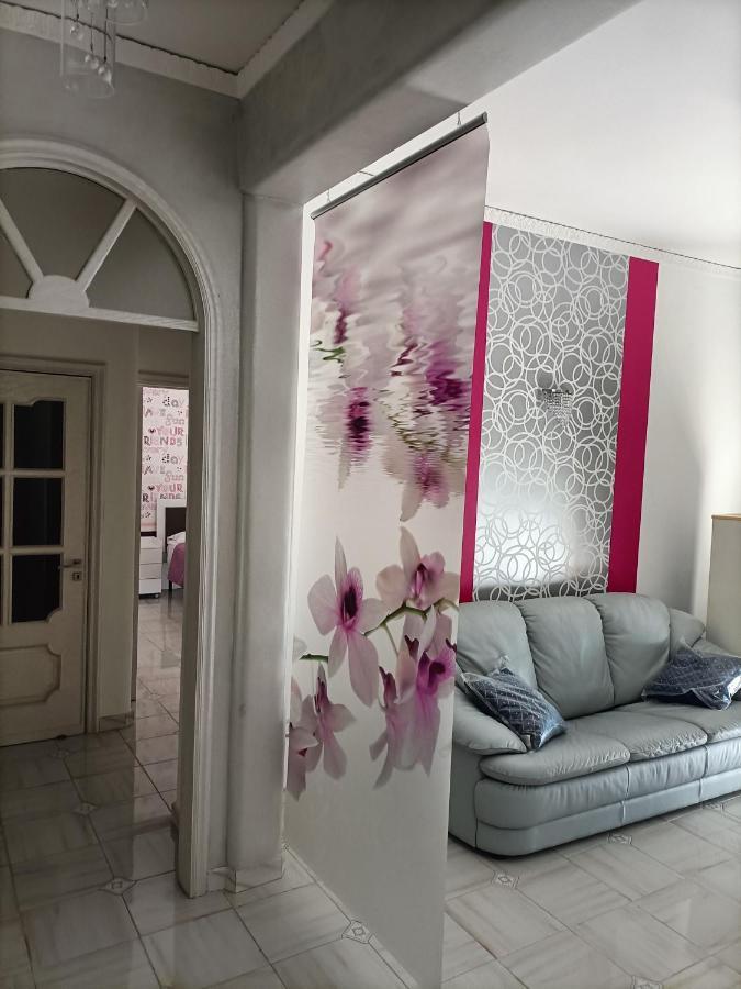 Bed and Breakfast Butterfly House Castellammare di Stabia Zewnętrze zdjęcie